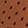 Bristish Tan/Ivory