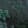 Dk Green