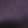 Mysterioso Plum